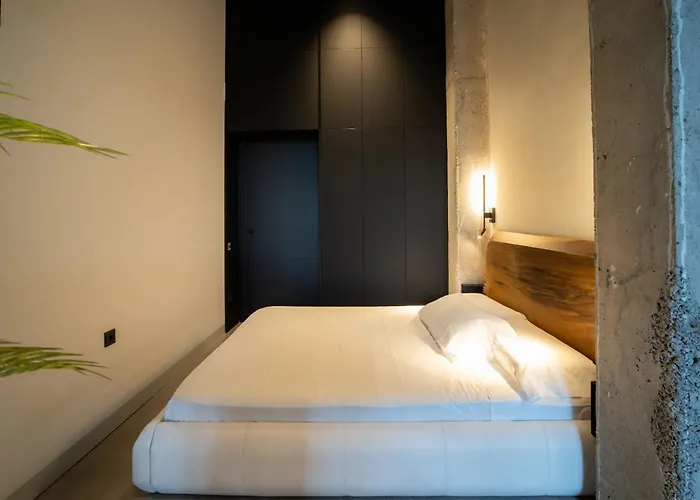 Crudo Un Loft Centrico De 50 M2 * ולנסיה