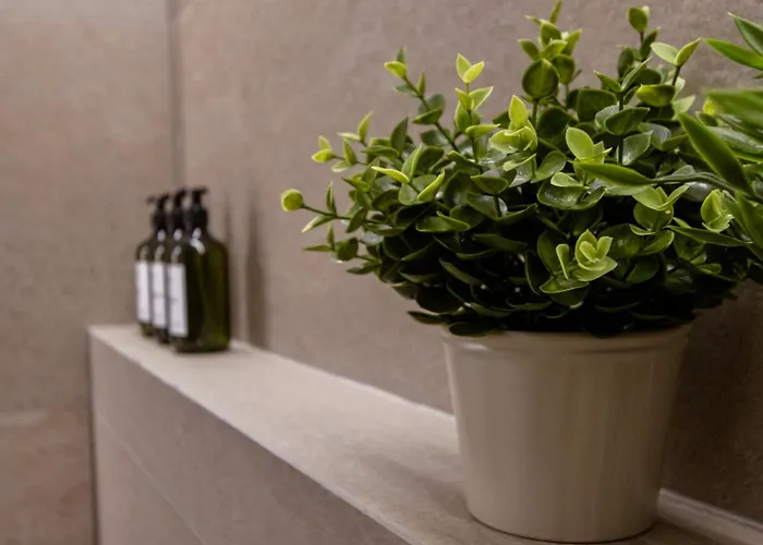 Boutique - One Tower 발렌시아