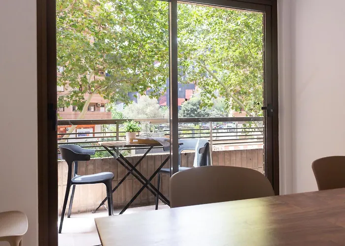 Vlc Host - Belgica * 발렌시아