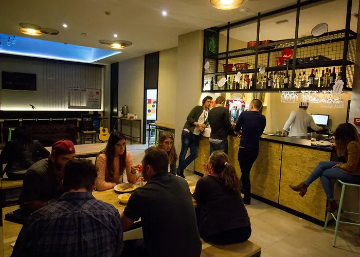 Auberge de jeunesse Purple Nest