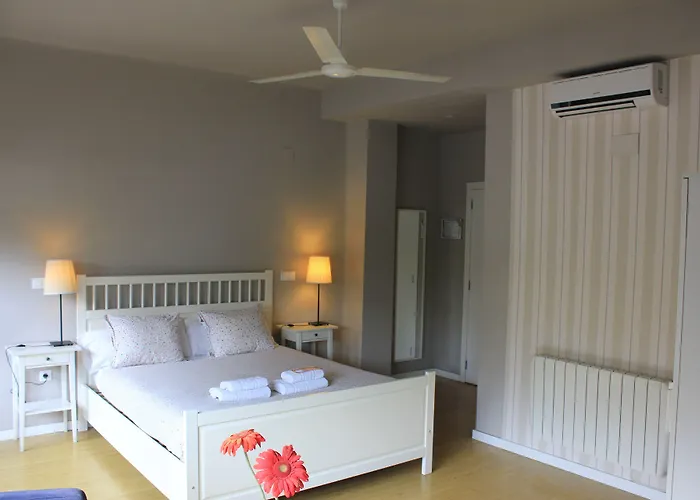 Md现代酒店 - 花园 酒店