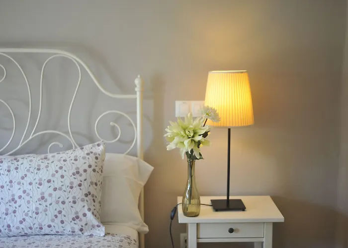 Md Modern - Jardines *