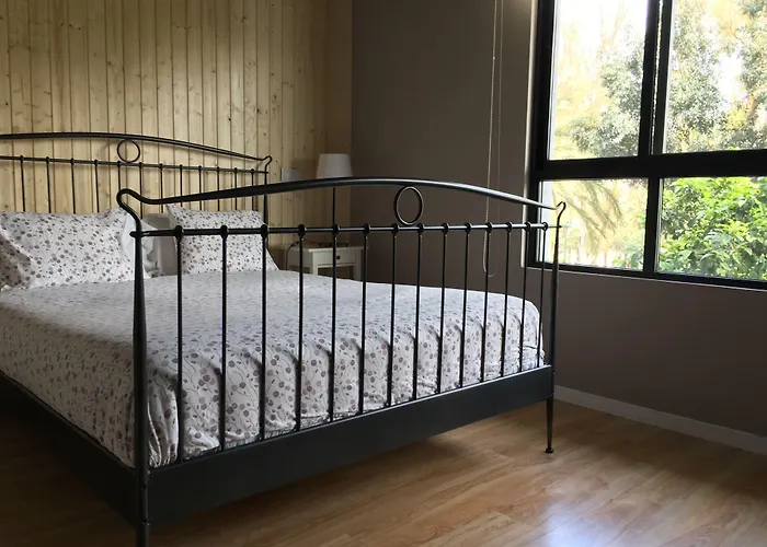 Md现代酒店 - 花园 酒店