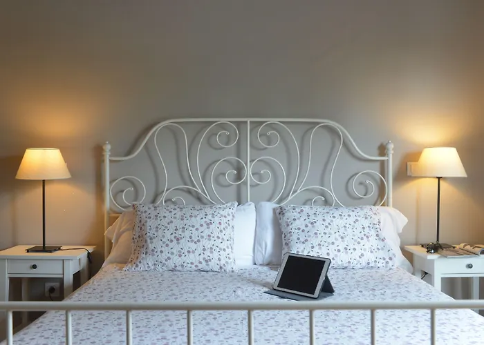 Md现代酒店 - 花园 *