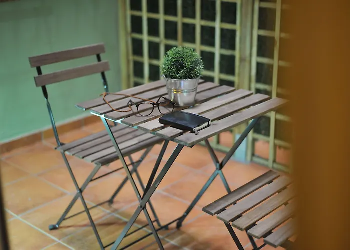 Md Modern - Jardines Hotel *