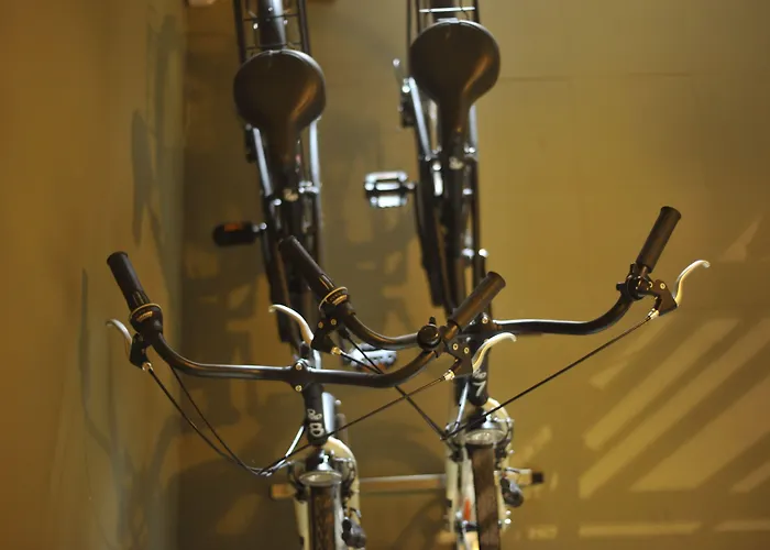 Md现代酒店 - 花园