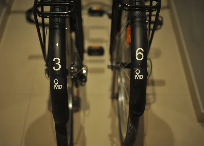 Md现代酒店 - 花园 * 瓦伦西亚