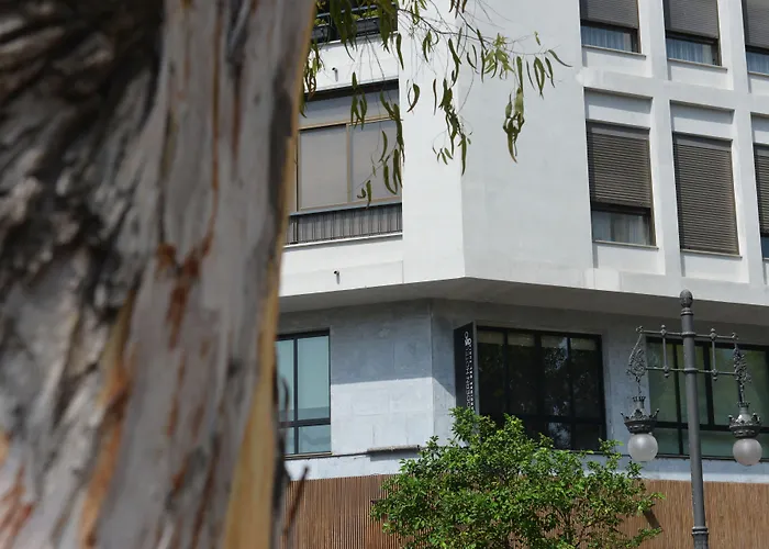 Md Modern - Jardines