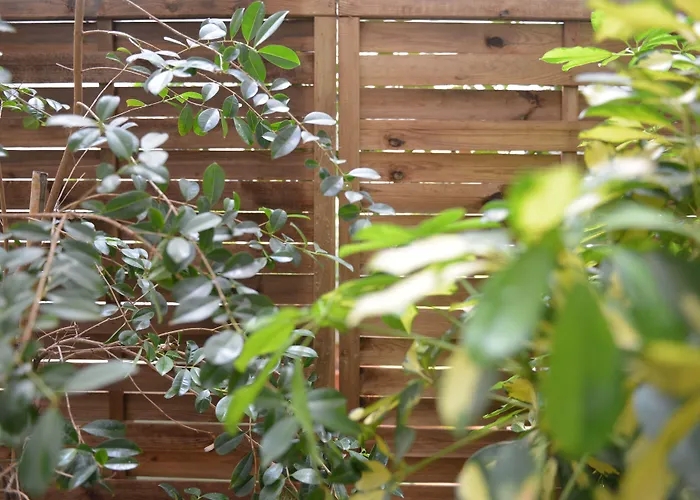 Hotel Md Modern - Jardines Valencia