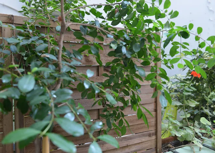 Hotel Md Modern - Jardines