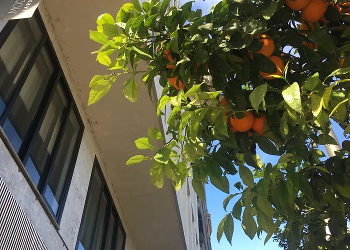 Hotel Md Modern - Jardines