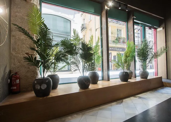 Cosy Tapineria 2* Valencia