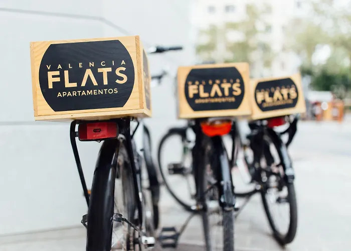 Mon Catedral ולנסיה