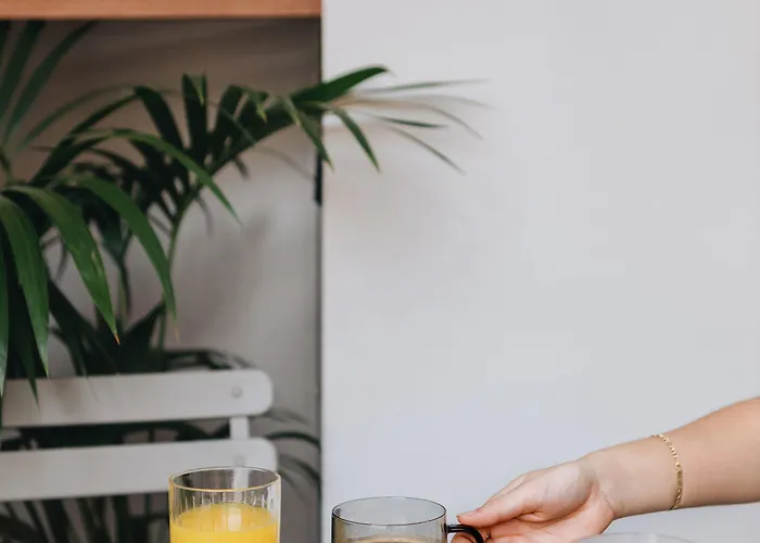 Mate Oliveira - Centre, 3* Valencia