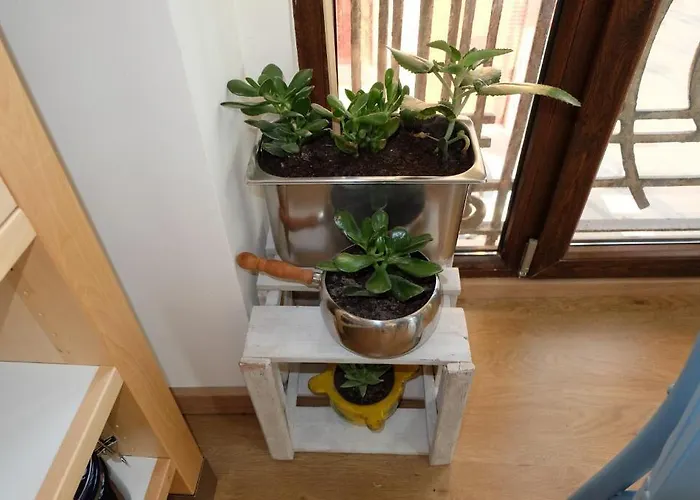 Affittacamere Balcon Al Mar