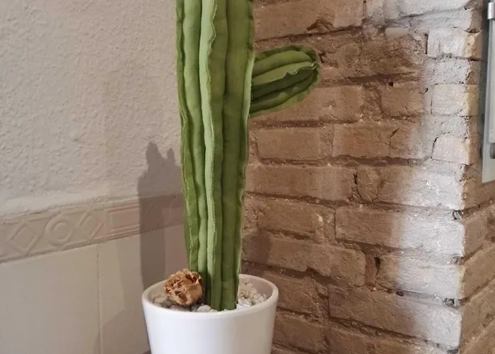 Balcon Al Mar Valenza