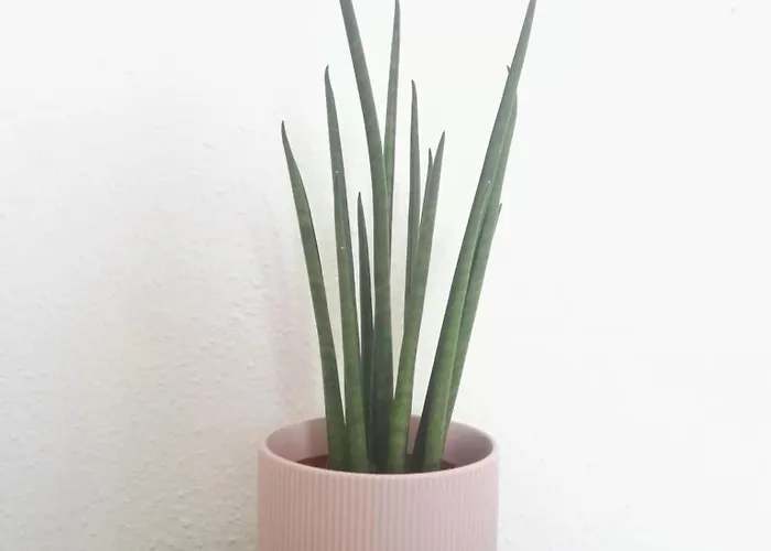 Gasthof Balcon Al Mar