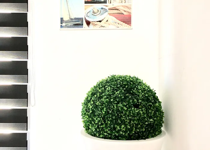 Oyo Duc De Gaeta 3* Valencie