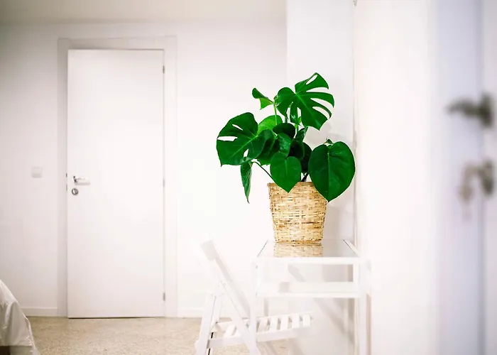 El Mercat Bed and breakfast 3*