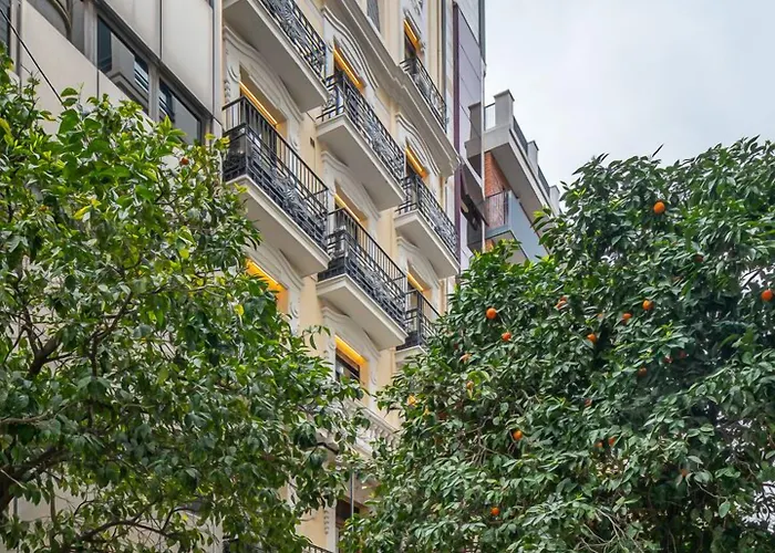 Nommadas Jero -adults Only