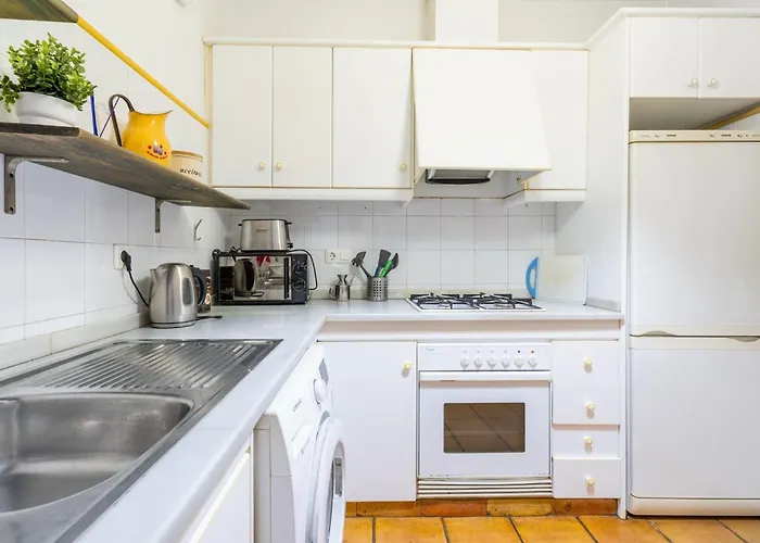 Invalencia Musico 2 Turia Gardens