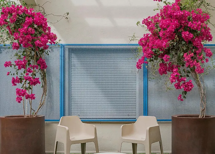 Hostel Residencia Universitaria Resa La Concepcion Valencia