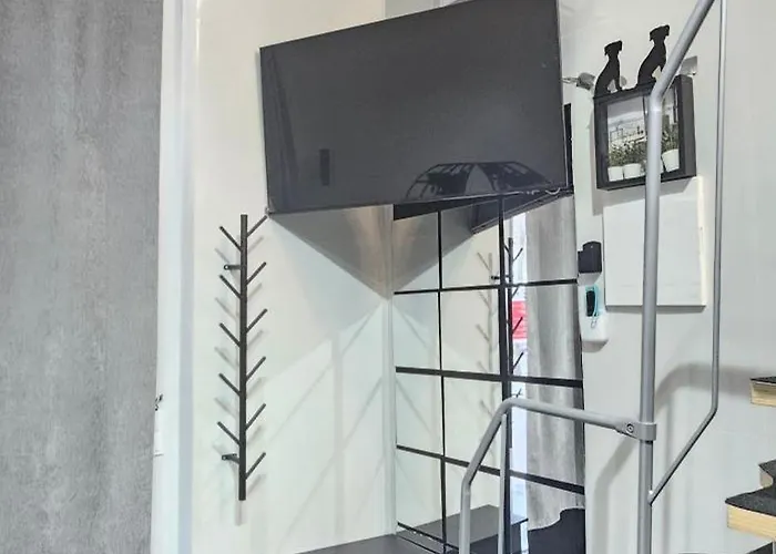 A6 Viviendaturisticavalencia Ciencias *