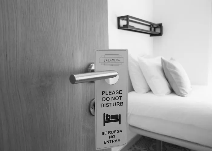 Zalamera ולנסיה