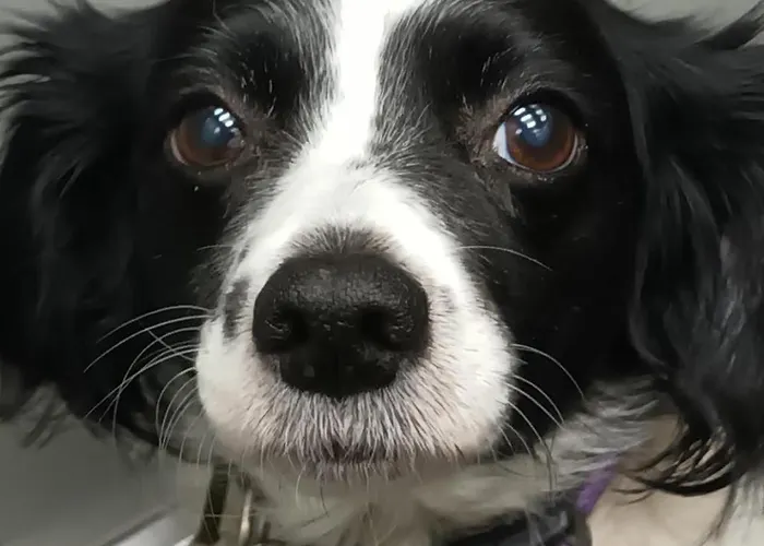 Appartement Alquilo 24 Euros Por Noche Super