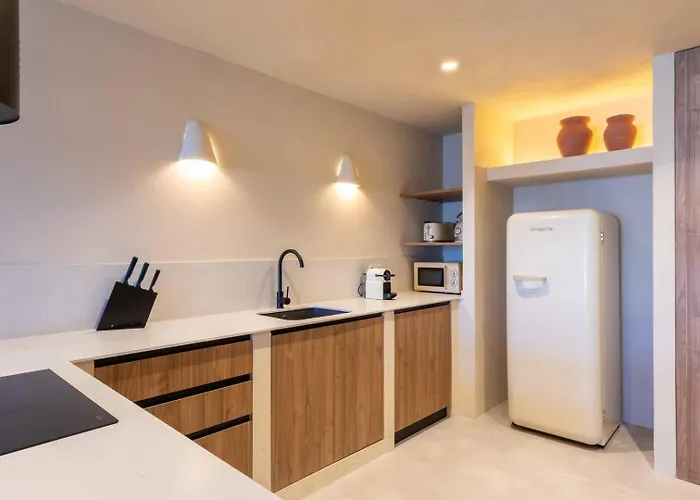 Vlc Host - Reina 166 B * Valencia