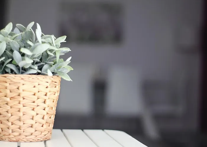 Appartement Sweet Caroline