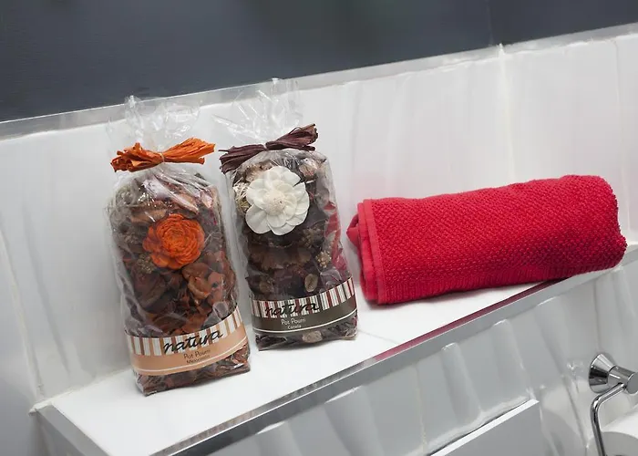 公寓 布提克公寓 *