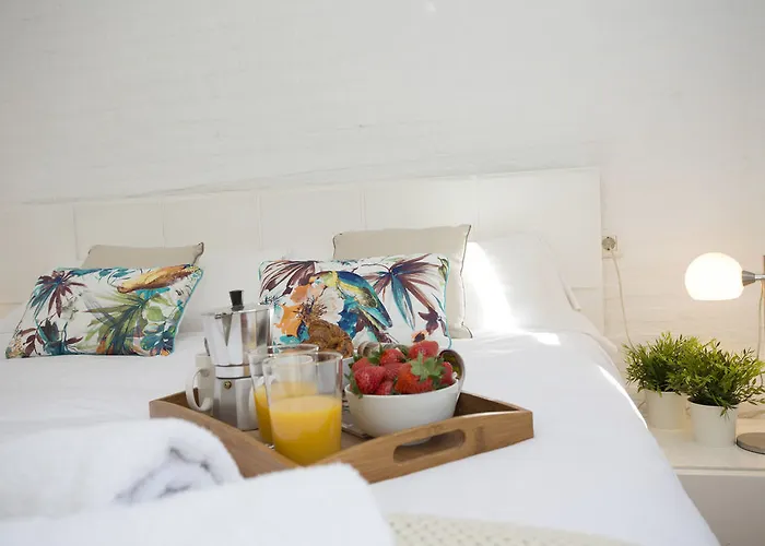 Singularstays Botanico 29 * Walencja