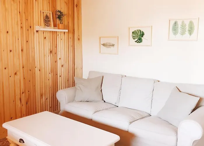 Mom La Punta Valencia