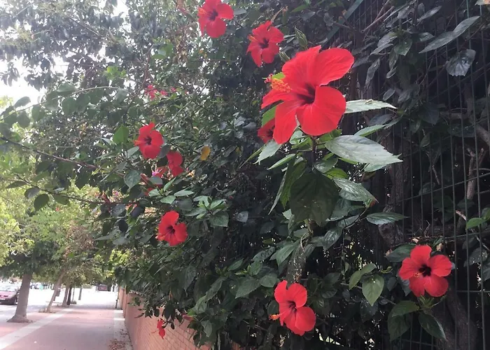 شقة Apartamentо Menorcа менорка *