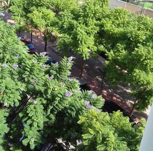 Lejlighed On Carrer Del Dr. Lluch