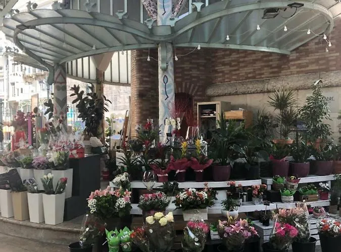 Colon Market Downtown Apartment