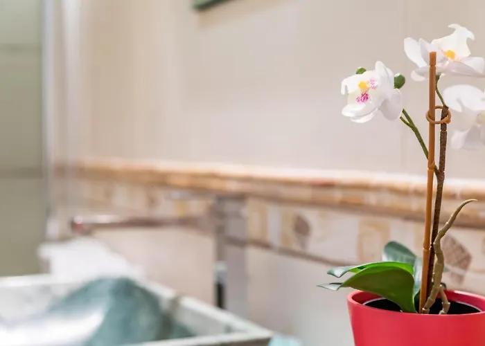 Travel Habitat Plaza De La Virgen 아파트