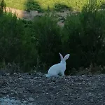 Chateau Angelique Lantställe *