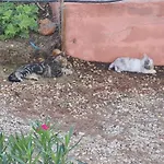 Chateau Angelique * Valencia