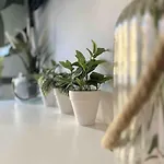 - Cabanyal Boutique Hébergement de vacances *
