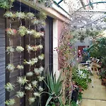 Oasis Epifito Urbano Botanical Wellness Oasis Near Of Arts & Sciencies