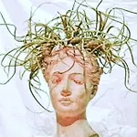 Oasis Epifito Urbano Botanical Wellness Oasis Near Of Arts & Sciencies *