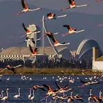 홈스테이 Oasis Epifito Urbano Botanical Wellness Oasis Near Of Arts & Sciencies