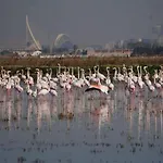 홈스테이 Oasis Epifito Urbano Botanical Wellness Oasis Near Of Arts & Sciencies 발렌시아