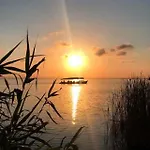 Oasis Epifito Urbano Botanical Wellness Oasis Near Of Arts & Sciencies 발렌시아