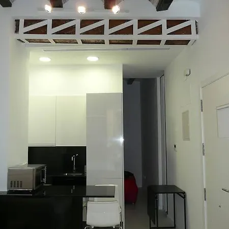 Luxury In The Center Apartment *