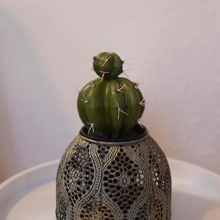 Apartamento Tranquilo, Luminoso Y En El Centro De La Ciudad