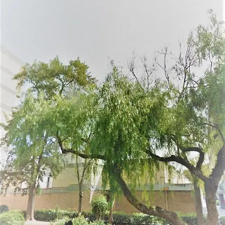 Lejlighed Duplex Near Center Lovely *