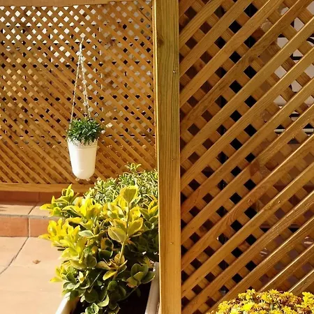 Apartment Precioso Atico Magnifica Terraza *